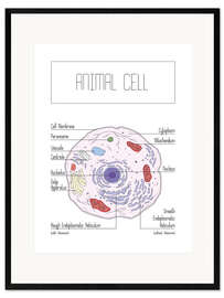 Impression artistique encadrée Animal Cell