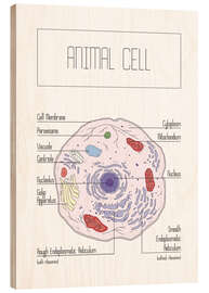 Tableau en bois Animal Cell