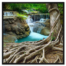 Gerahmter Kunstdruck wuchernde Wurzeln