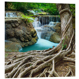 Foam board print sprawling roots