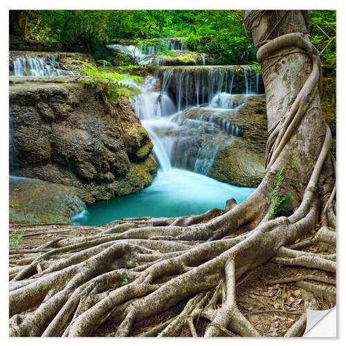 Wall sticker sprawling roots