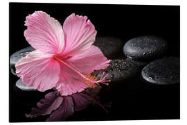 Aluminium print Hot Stone Massage with hibiscus