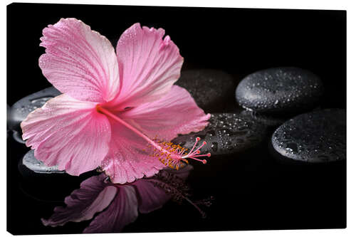 Lerretsbilde Hot Stone Massage with hibiscus