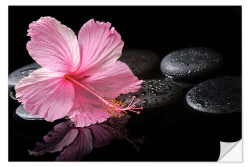 Wandsticker Hot Stone Massage mit Hibiskus