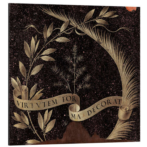 Aluminiumtavla Laurel wreath palm trees and juniper