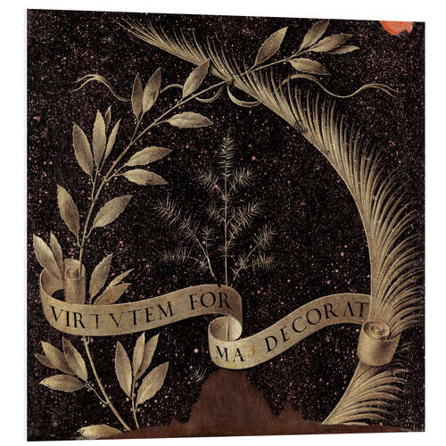 Obraz na PCV Laurel wreath palm trees and juniper