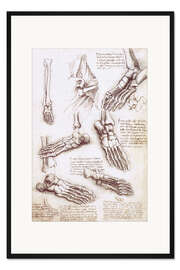 Gerahmter Kunstdruck Fußanatomie