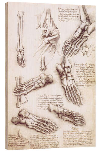 Wood print Foot anatomy