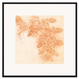 Gerahmter Kunstdruck Zeichnungen von Pflanzen