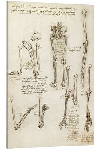 Stampa su alluminio Le ossa del braccio e della gamba