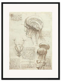 Gerahmter Kunstdruck Gehirn und Schädel