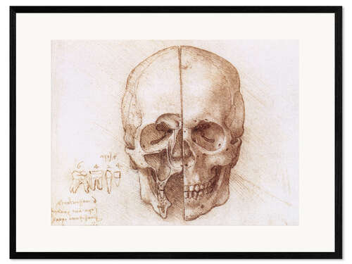 Stampa artistica con cornice Cranio
