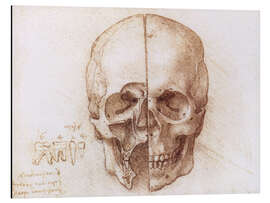 Magnettafel Schädel