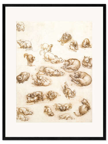Impresión de arte enmarcada Gatos, leones y un dragón