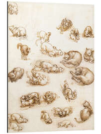 Magnettafel Studienblatt mit Katzen, Drachen und anderen Tieren