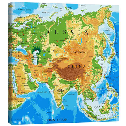 Canvas-taulu Asien - Topographic Map