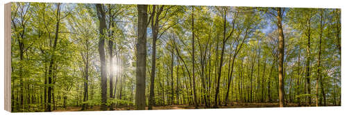 Holzbild Buchenwald Panorama im Taunus