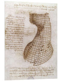 Foam board print Sketched plan of cast for the head portion of a horse