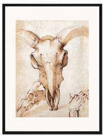 Gerahmter Kunstdruck Schädel einer Kuh