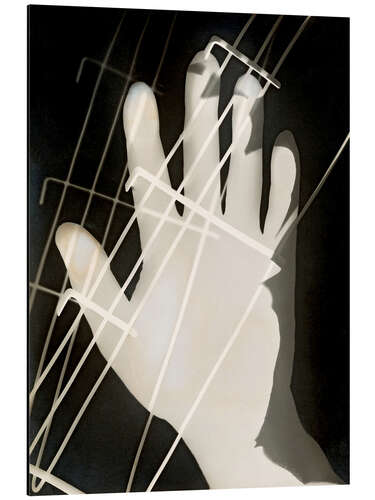 Stampa su alluminio photogram 2