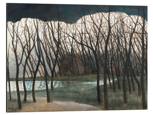 Cuadro de aluminio Pond Surrounded by Trees, Winter