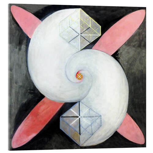 Cuadro de metacrilato El cisne, n° 21