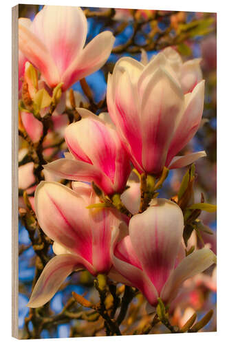 Wood print magnolia flower