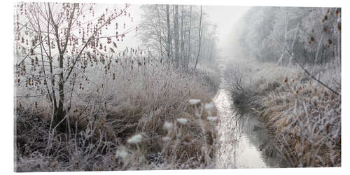 Acrylic print Morning mist and from over landscape