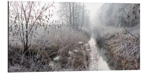 Aluminium print Morning mist and from over landscape