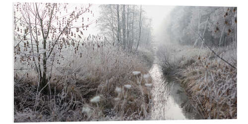 Tableau en PVC Brume matinale et paysage givré