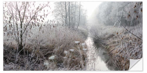 Selvklebende plakat Morgen tåke og frost over landskapet