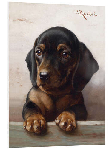 Tableau en PVC Young dachshund