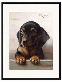 Gerahmter Kunstdruck Junger Dackel