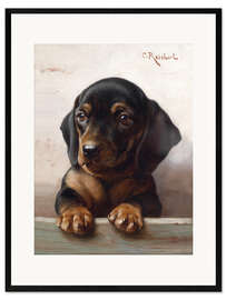 Impression artistique encadrée Young dachshund