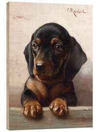 Hout print Young dachshund