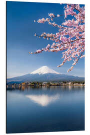 Aluminium print Mount Fuji and Lake Kawaguchiko in Japan during the cherry blossom season