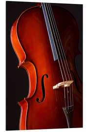 Magnettafel Musikalische Kurven