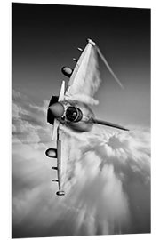 Foam board print Typhoon Knife Edge mono