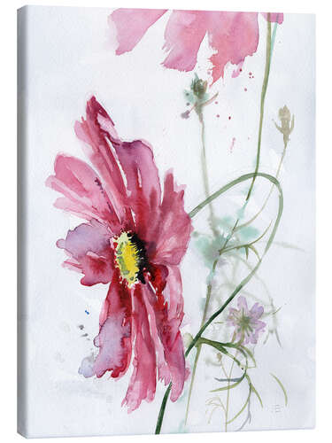 Canvastavla Cosmos flower watercolor