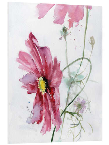 Foam board print Cosmos flower watercolor