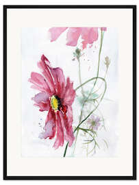 Gerahmter Kunstdruck Kosmea Aquarell