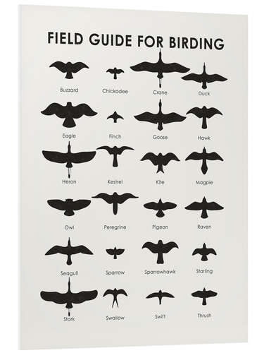 Foam board print Field guide for birding