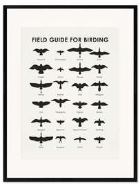 Plakat artystyczny premium w ramie Field guide for birding