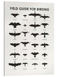 Gallery print Field guide for birding