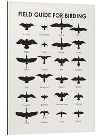 Magnettafel Anleitung zur Vogelbeobachtung (englisch)