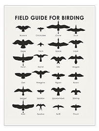 Wall print  Field guide for birding - Iris Luckhaus