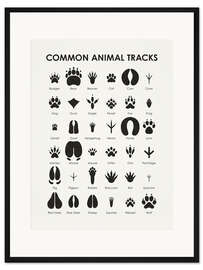 Gerahmter Kunstdruck Häufige Tierspuren I (englisch)