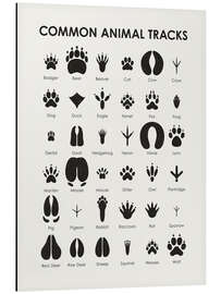 Magnettafel Häufige Tierspuren I (englisch)