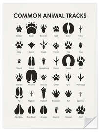 Selvklebende plakat Common Animal Tracks I