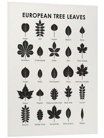 Foam board print European tree leaves